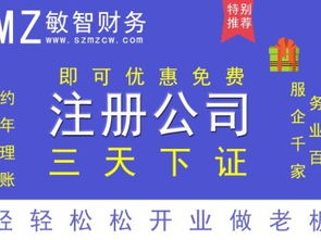 深圳龍崗公司注冊、注銷、變更及一般納稅人申請代辦服務(wù)指南